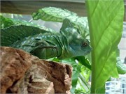 04152011_Lori and Rons_79